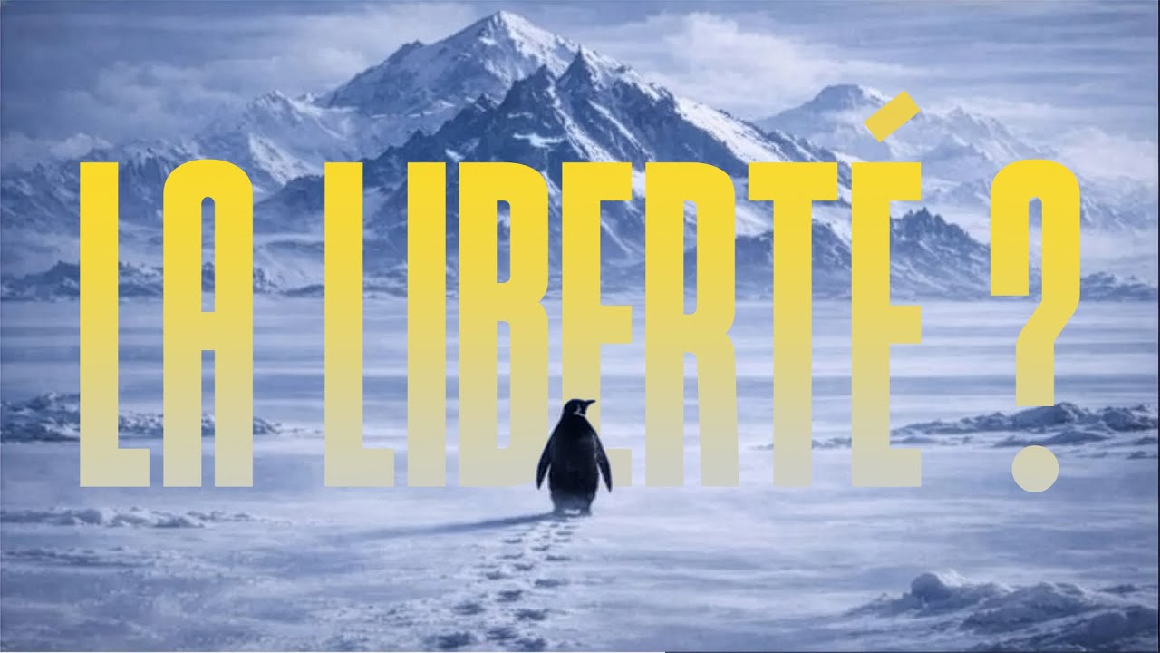 Le pingouin et la liberté : pourquoi ce mème dérange autant ?
