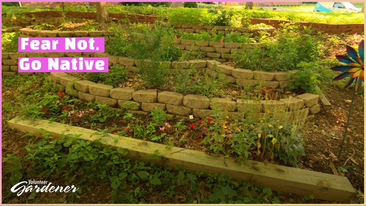 Making a Difference with Landscape Choices | Volunteer Gardener