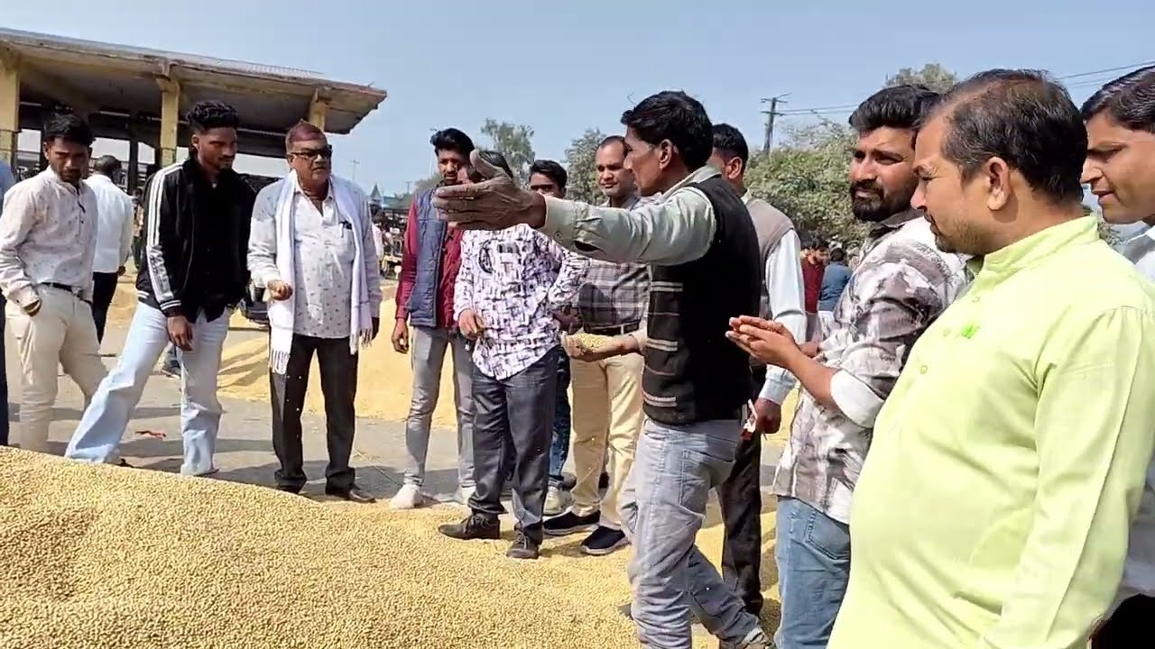6 फरवरी 2026 का भाव सोयाबीन का सभी प्रकार के भाव इस वीडियो के माध्यम से#baranmandi