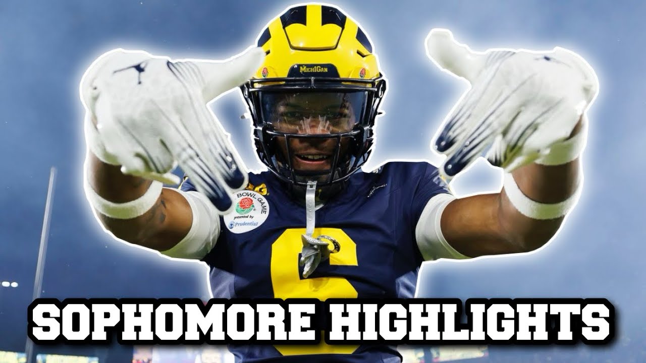 Brandyn Hillman Sophomore Highlights | HIT STICK GOD