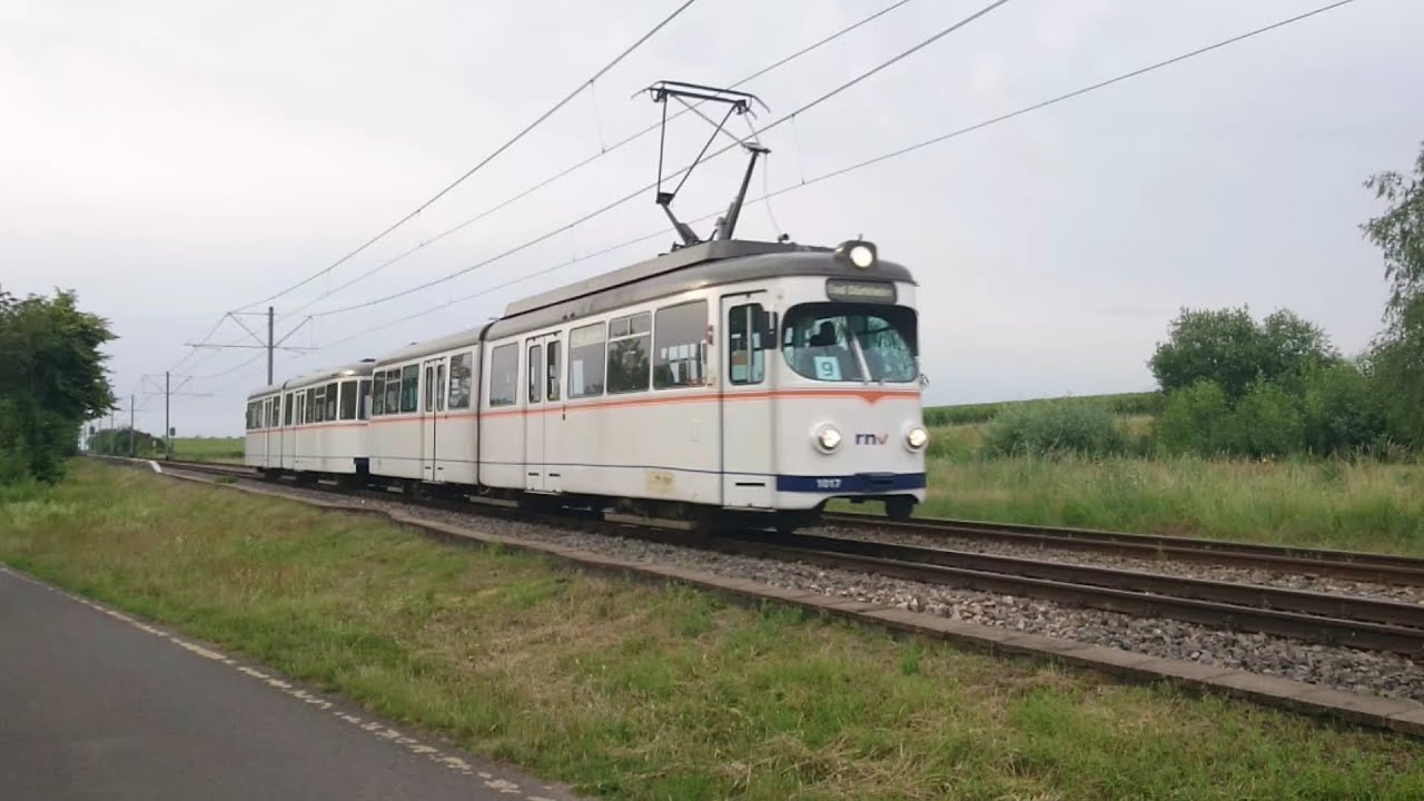 Ludwigshafen Straßenbahn (RHB ET6/EB6), 08.-10.06.2020