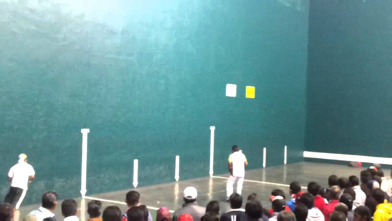 Momo - Crilyn vs chato - Cocol 1