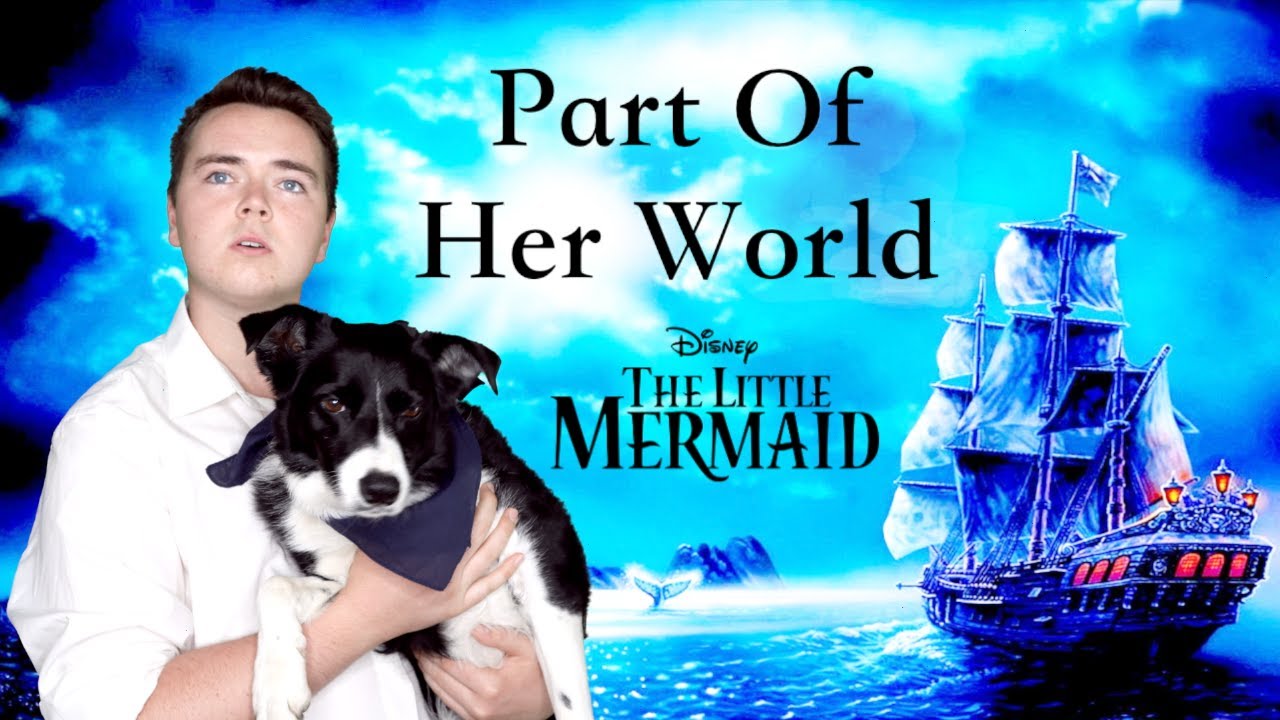 Part of Your World from Prince Erik's Perspective | The Little Mermaid