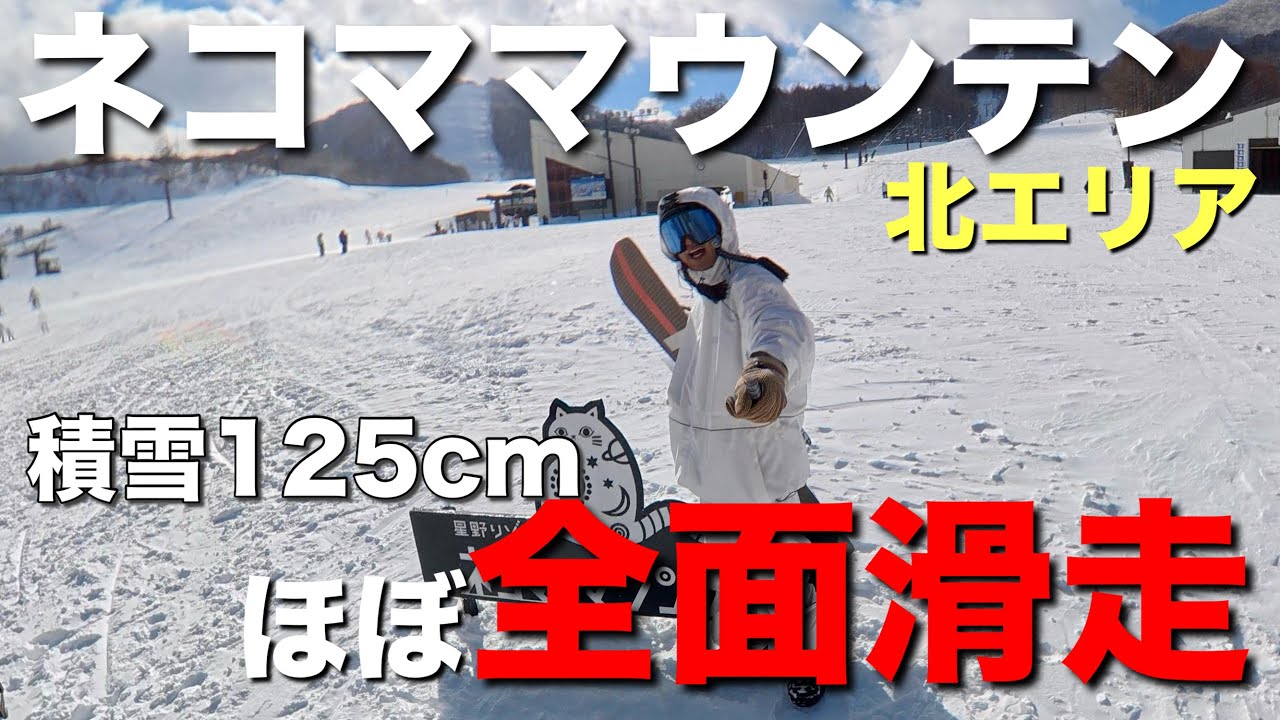 【ネコママウンテン北エリア】積雪125センチ！ほぼ全面滑走可能！