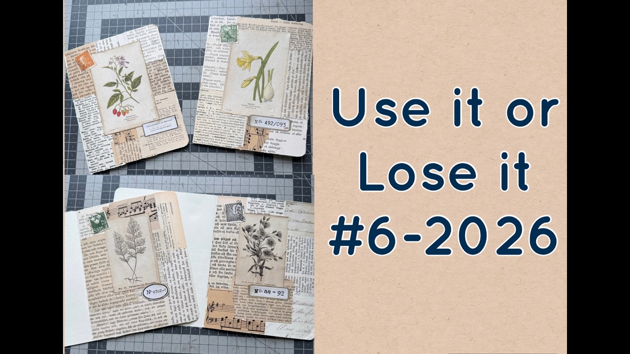 Use it or Lose it it #6 - 2026