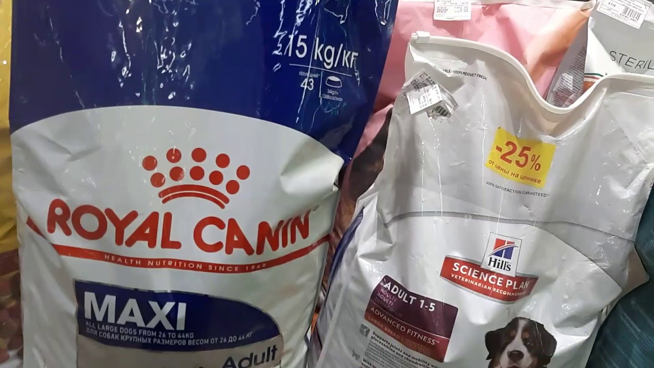 Экскурсия по ценам на корма в зоомагазинах ТЦ Лента г.Самара.