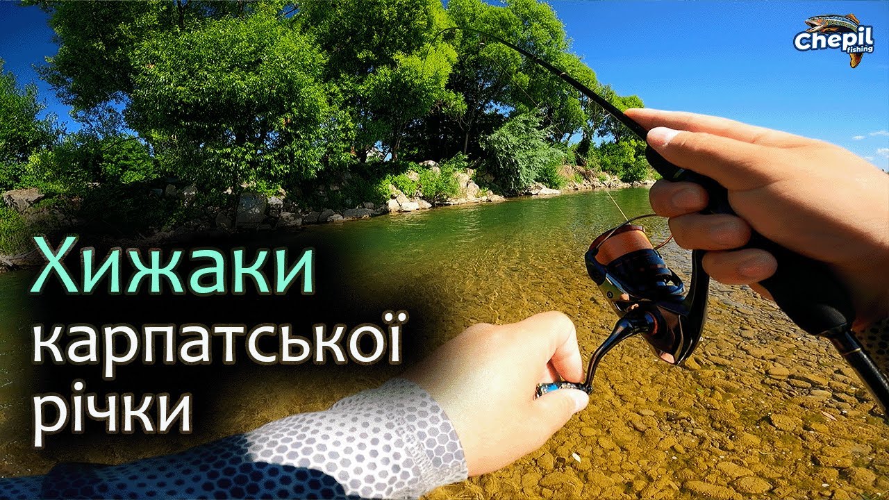 ЛЕОПАРДИ, ТИГРИ ТА ІНШІ МЕШКАНЦІ РІЧКИ! Риболовля на р.Бистриця