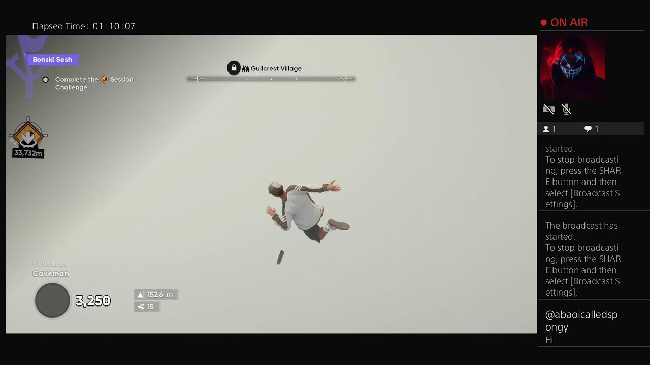 Skate glitch