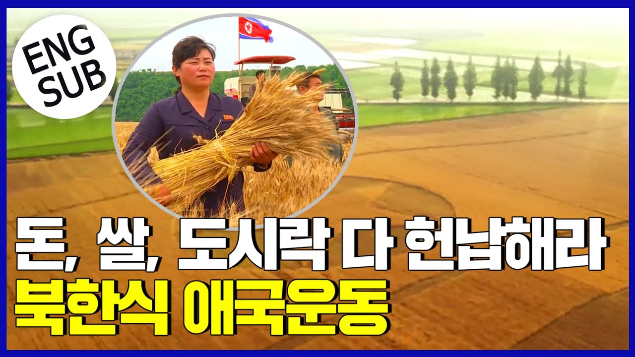 북한 애국운동 돈도 쌀도 헌납해라 [통일전망대 다시보기 클립]