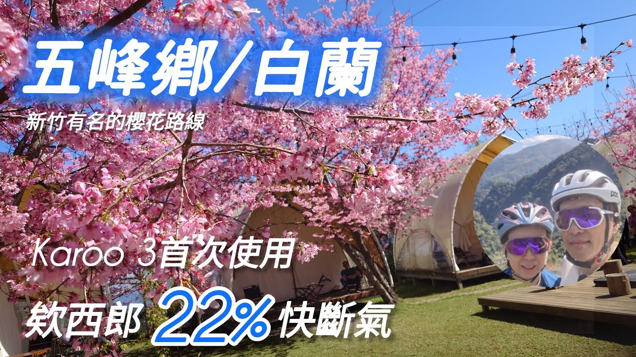521 帶女王來看櫻花|白蘭部落|這次走張學良22趴我快斷氣|新車錶KAROO#insta360 #cycling #giant#karoo