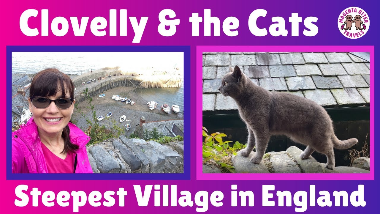 Clovelly & the Cats – Visiting the Steepest Village in England
