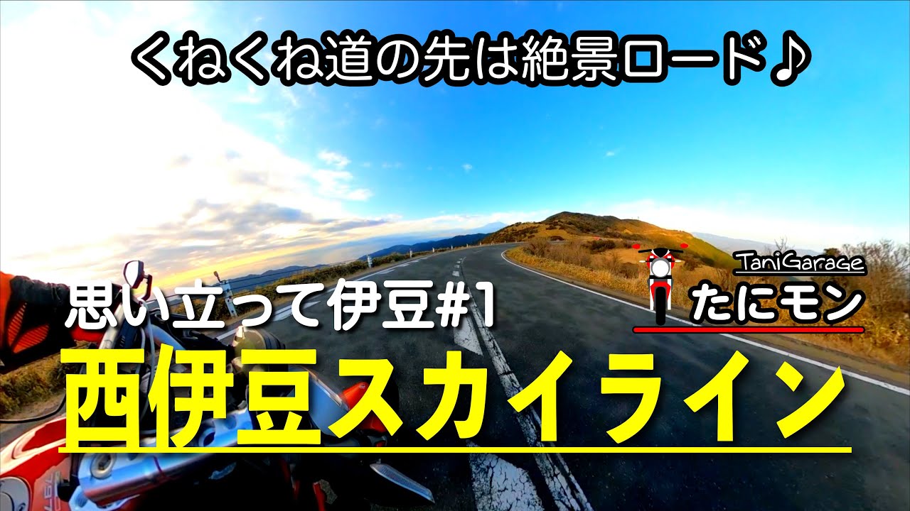 思い立って伊豆ツー！#1.やっぱり絶景♪西伊豆スカイライン！　DUCATIモンスター797