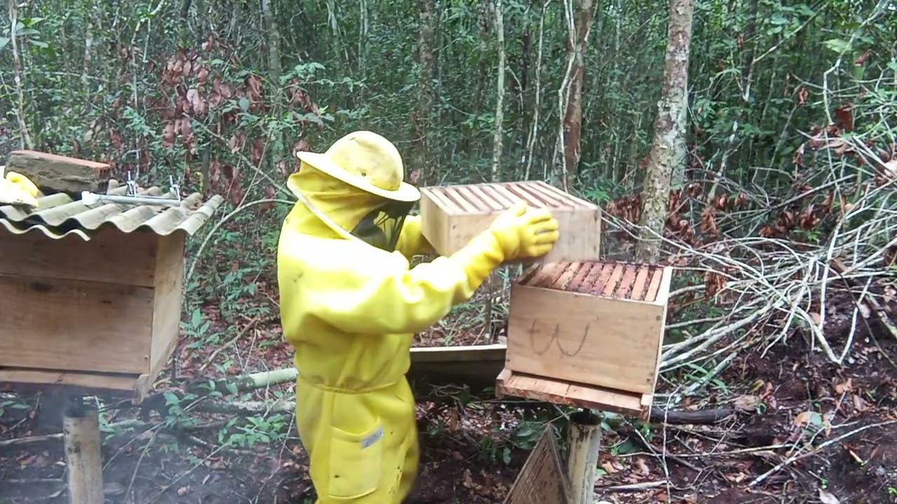 9 de março de 2026