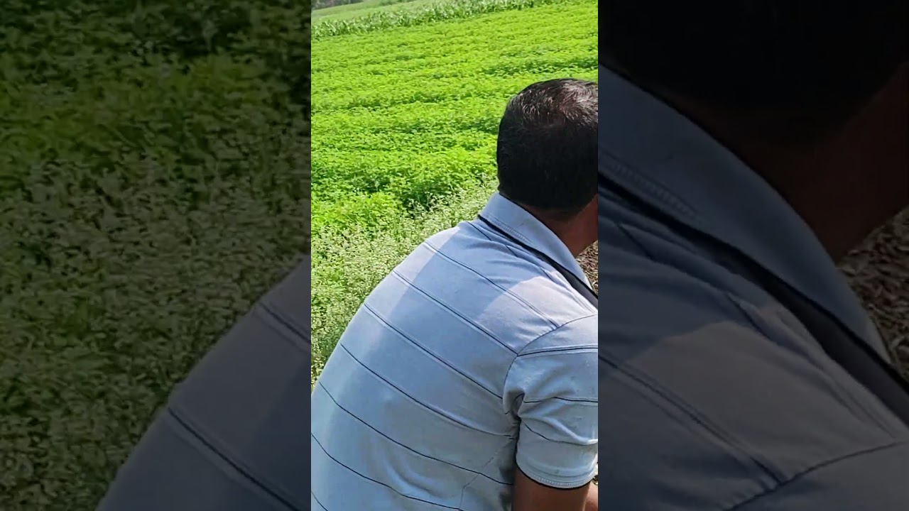 #shtkari #trnd #just #short video#viral video