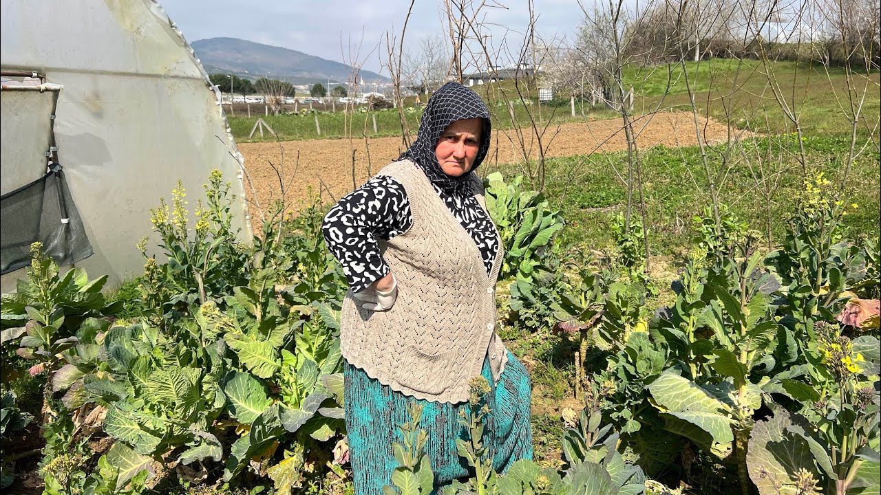 Yiyiciler azaldı!!!Mancarla çoğaldı🤫Bilene helal olsun❌Nanköre haram olsun…