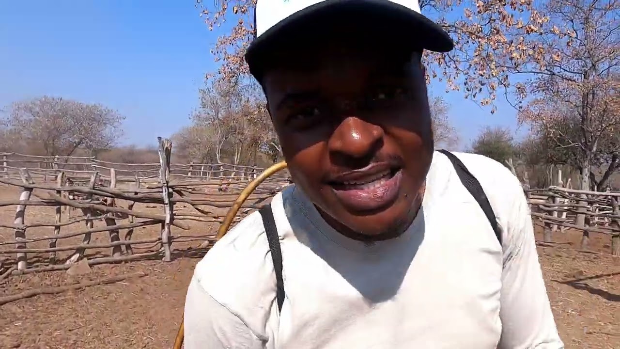 Farm Life in Matojeni, Zimbabwe: A Day in the Life 🇿🇼