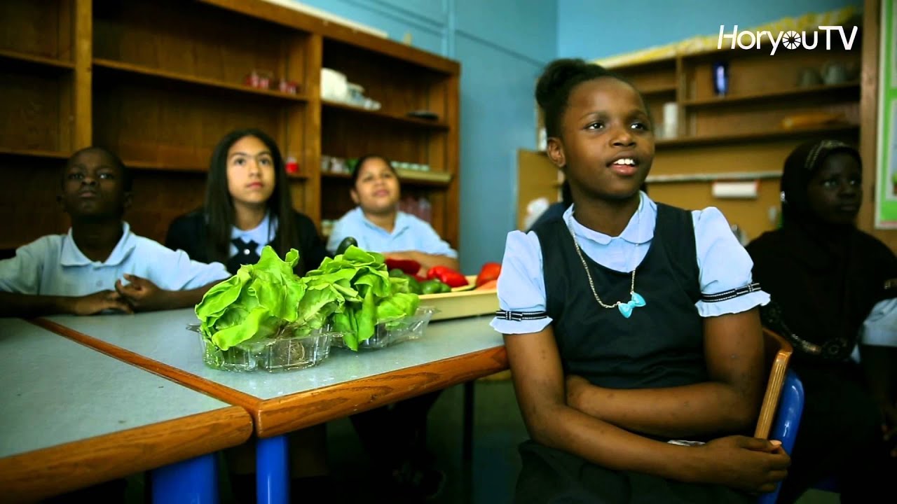 GREEN BRONX MACHINE: Urban Farming