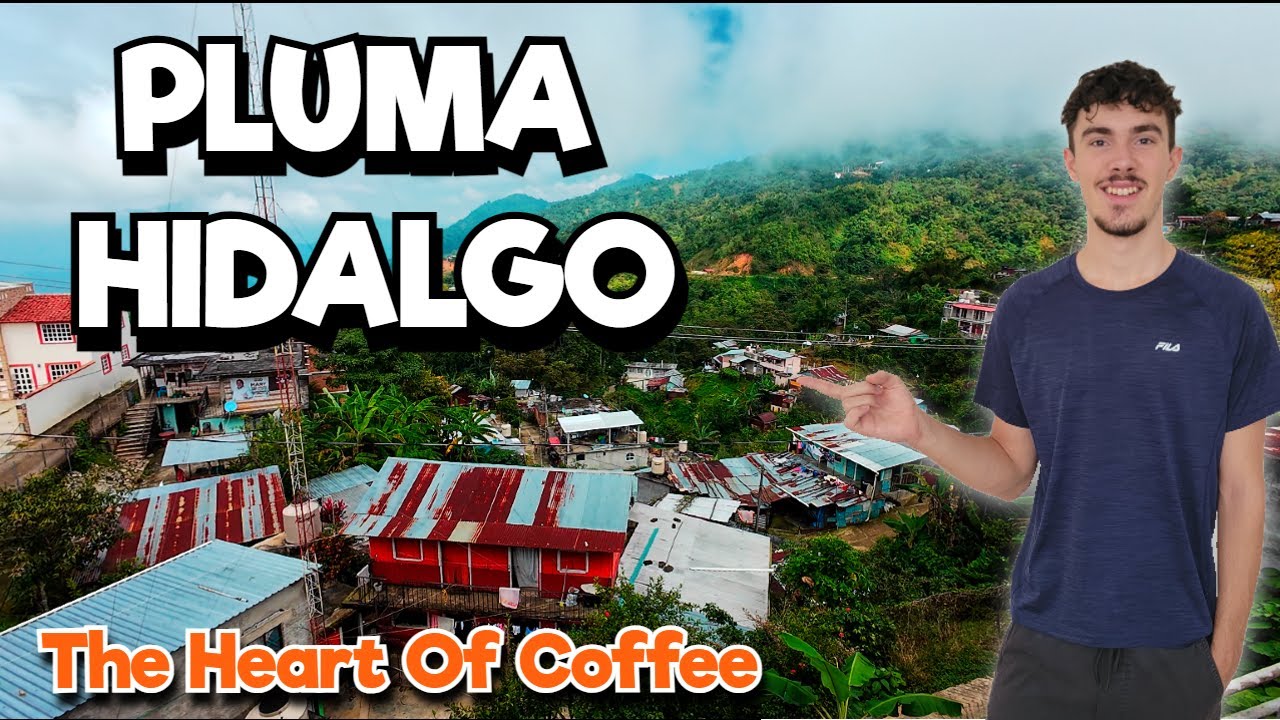 Exploring The Lost Coffee Of Pluma Hidalgo...