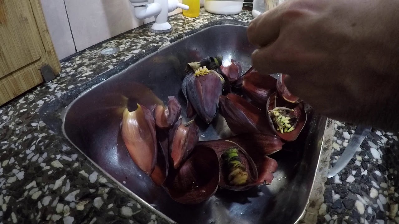 Como cocinar la inflorescencia del Banano El Guapurú Vivero de frutales exóticos y nativos raros