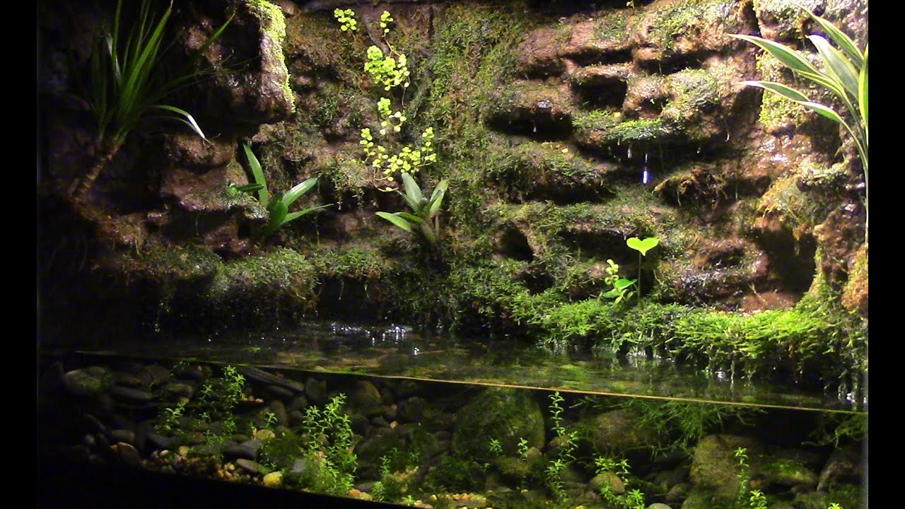 NEW Inhabitants: Paludarium