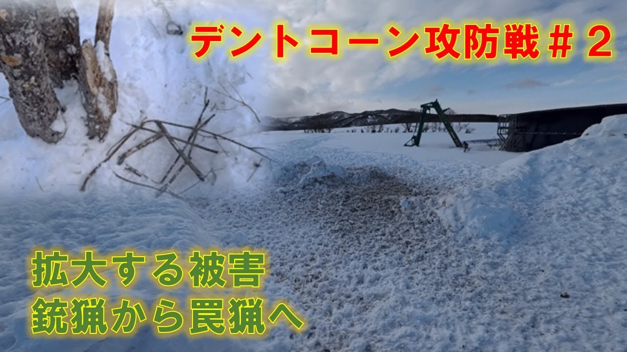 【エゾシカ駆除】デントコーン攻防戦＃２　くくり罠猟へシフト