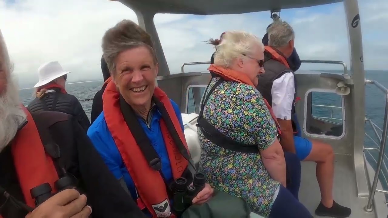 Dyer Island Cruises - Whale & Big 5 Marine safari