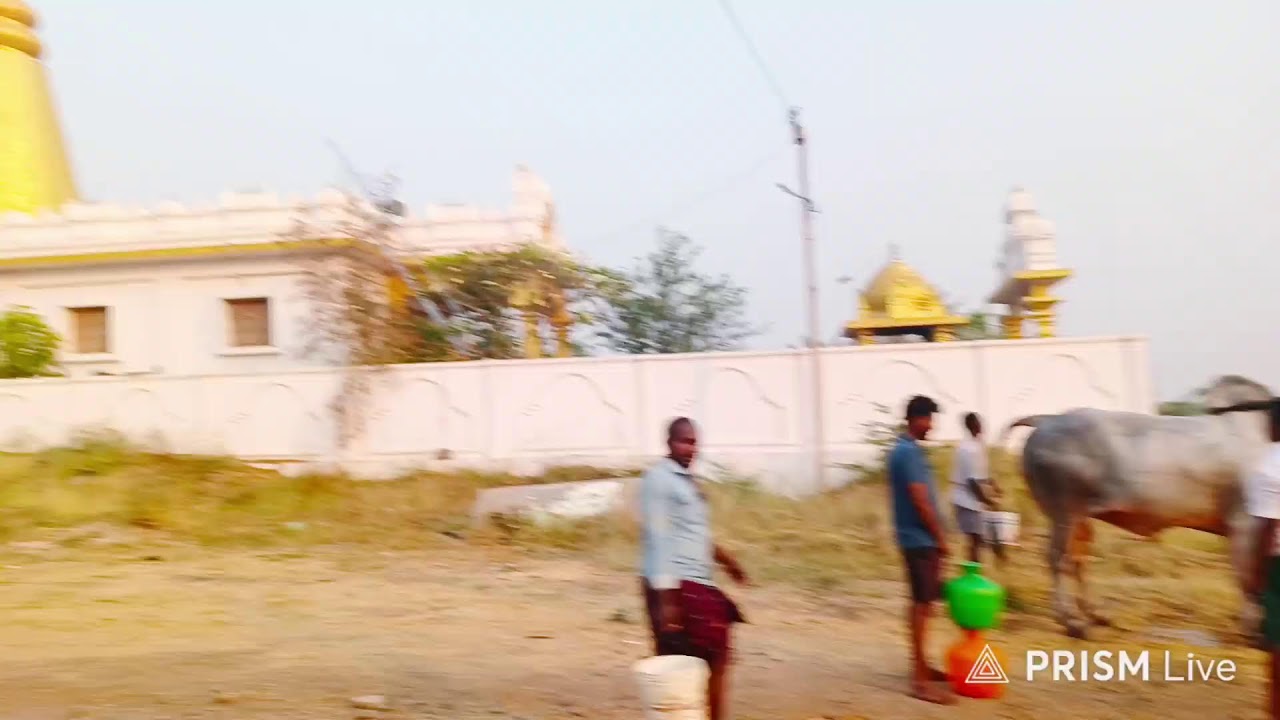 పెద్దపసుపుల సీనియర్ విభాగానికి కట్టుబడి రోలీ మేడమ్ అలగనూరు గ్రామం