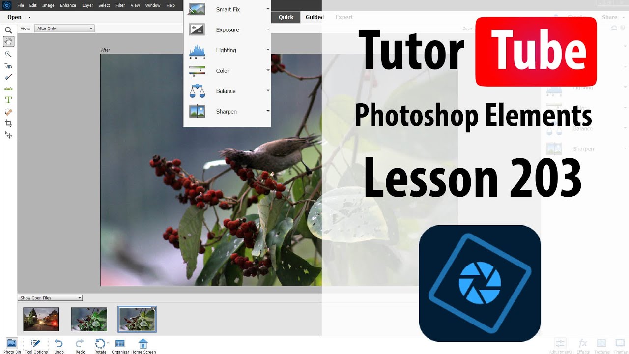 Photoshop Elements Tutorial - Lesson 203 - Quote Graphic
