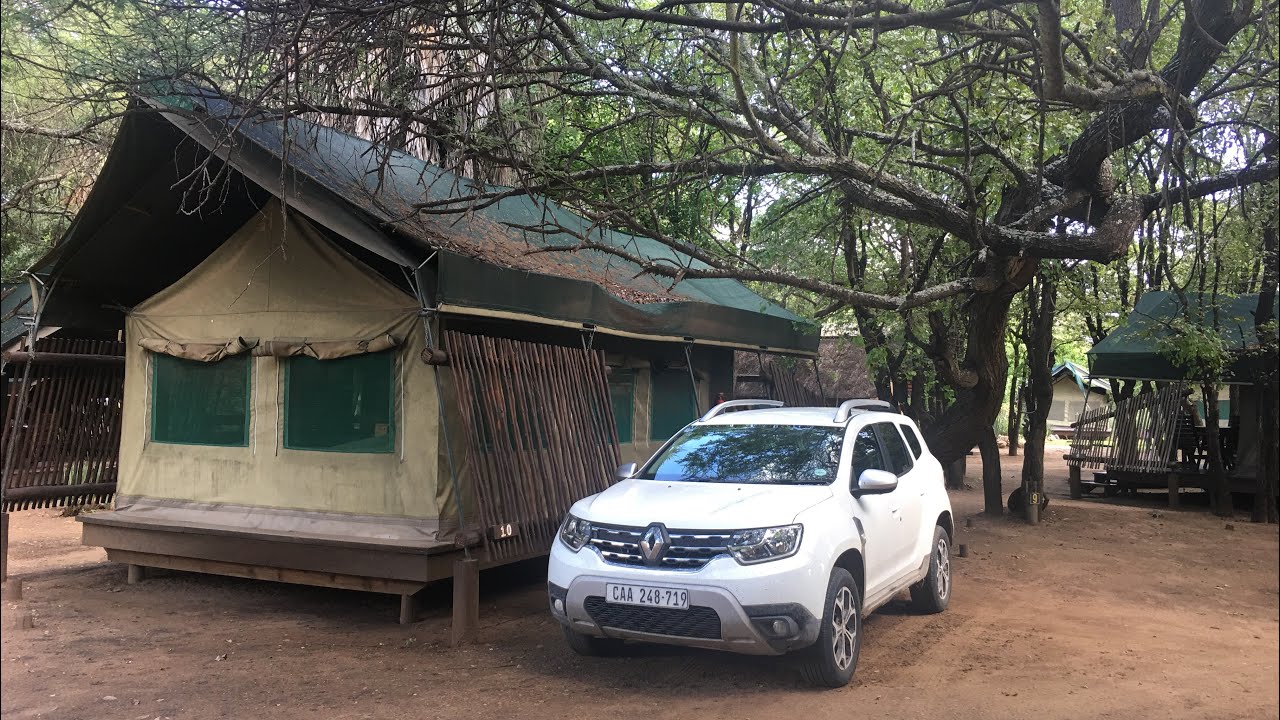 NORTHERN KRUGER PARK IN RENAULT DUSTER
