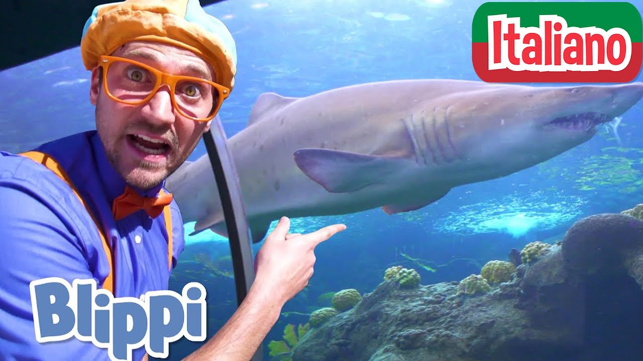 Blippi visita un acquario | Blippi in Italiano | Video educativi per bambini