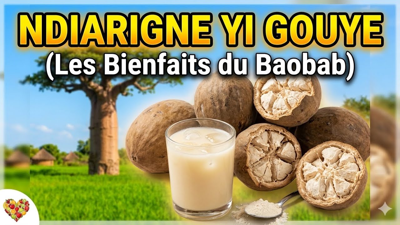 Les bienfaits du baobab