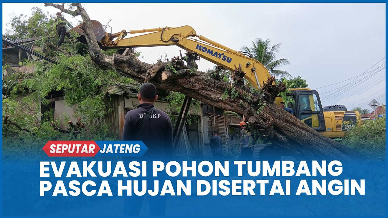 Evakuasi Pohon Tumbang di Kebumen, Alat Berat Dikerahkan