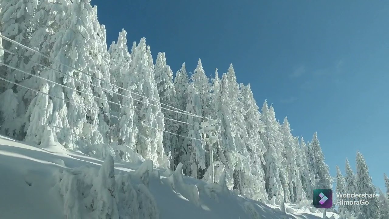 Driving up Mt Spokane to ski