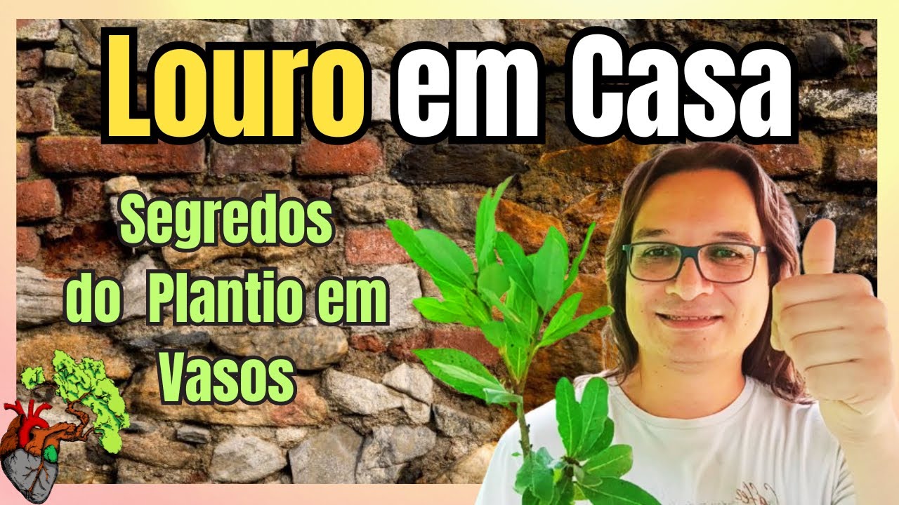 Como Plantar e Cultivar Louro em Casa: Dicas Essenciais!