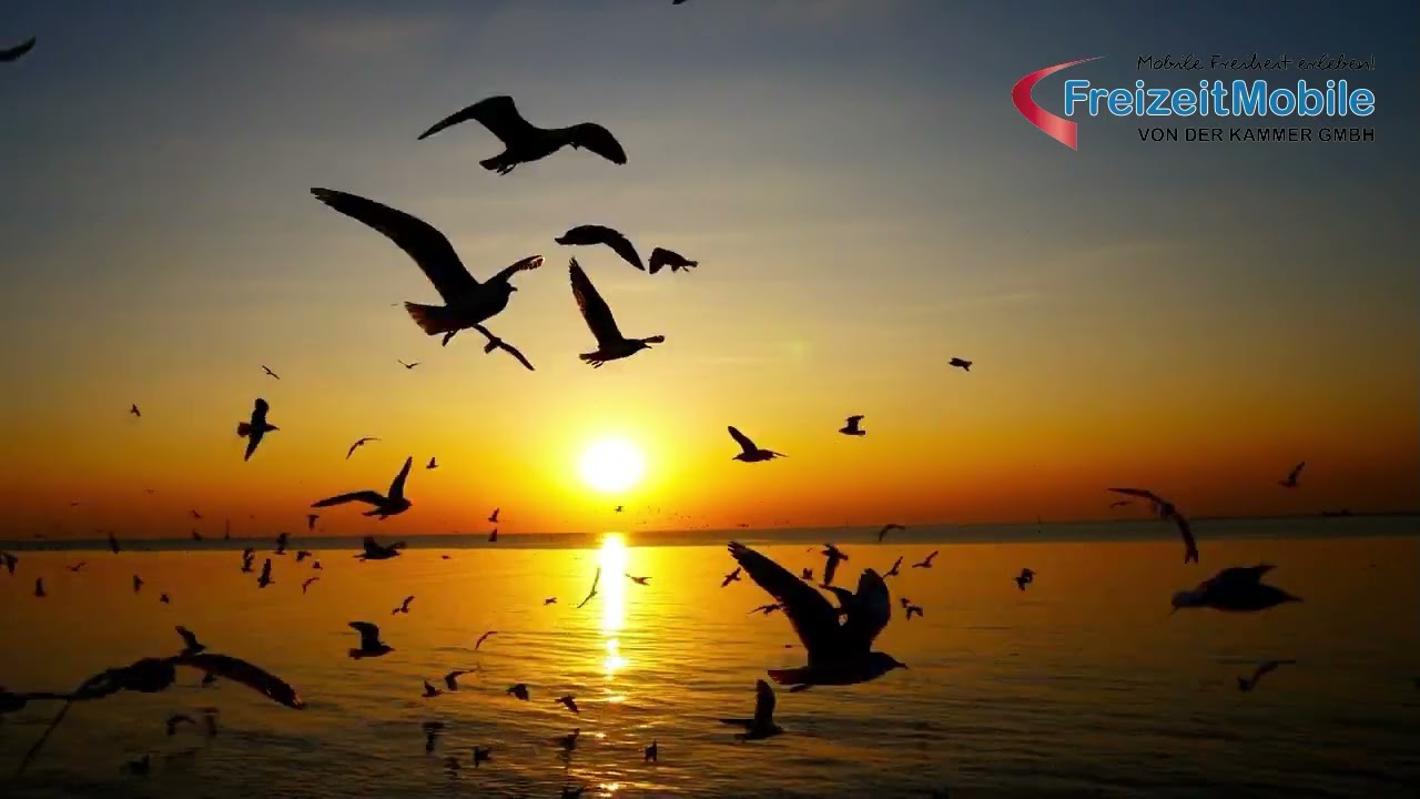 Freizeitmobile Von der Kammer aus Sande