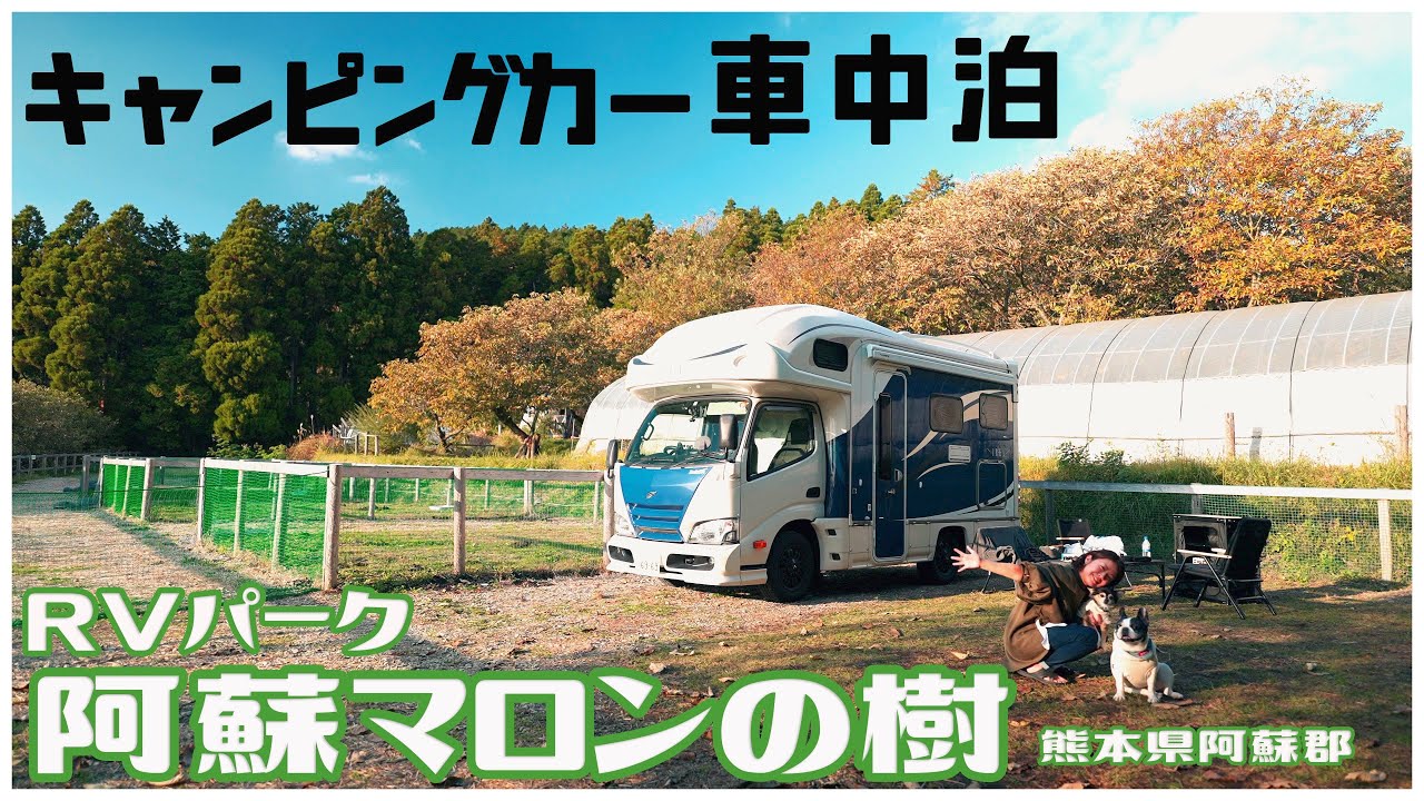 キャンピングカー車中泊　わんこのリードなしで利用ができるRVパーク 阿蘇マロンの樹を利用してきました！-焚き火出来てドックランも使い放題！-