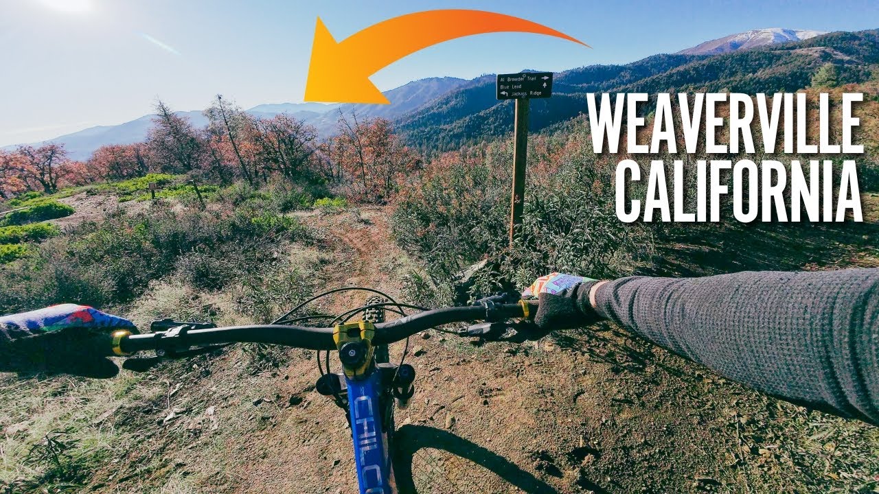Like Riding Through an Enchanted Forest!  ||  Blue & Black Lead Trails in Weaverville, CA.