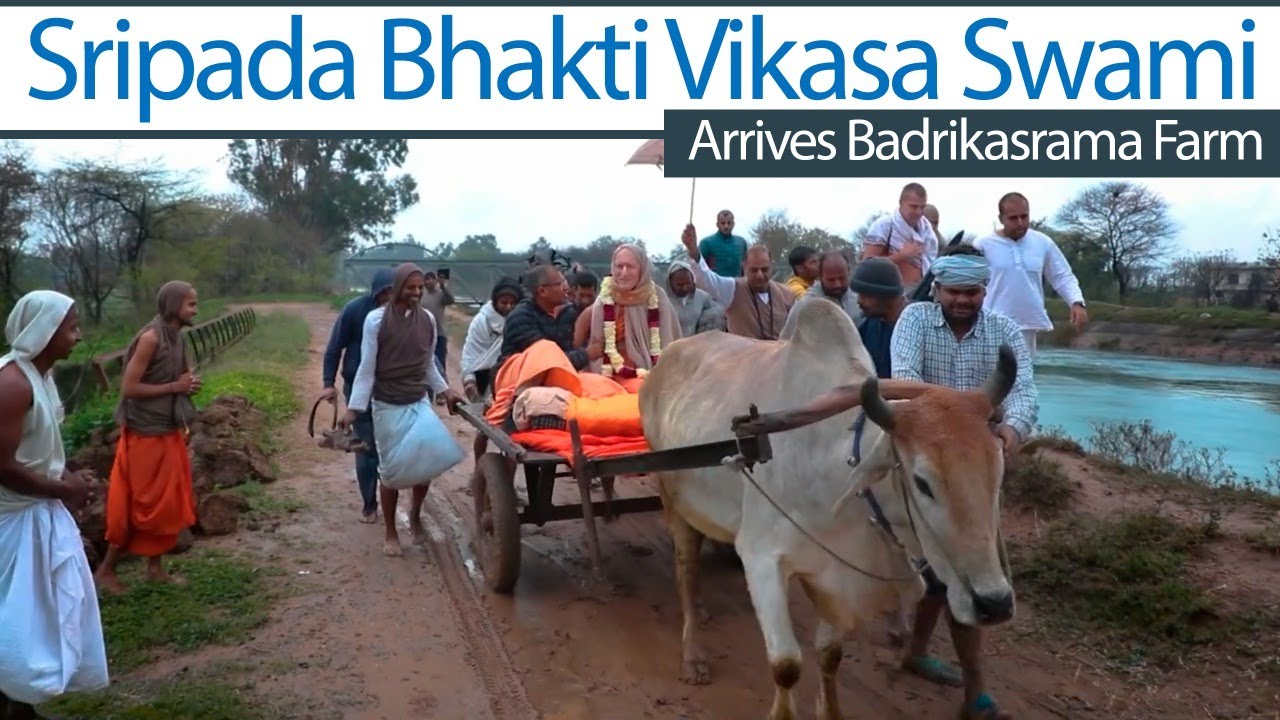 Sripada Bhakti Vikasa Swami Arrives at Badrikasrama Farm