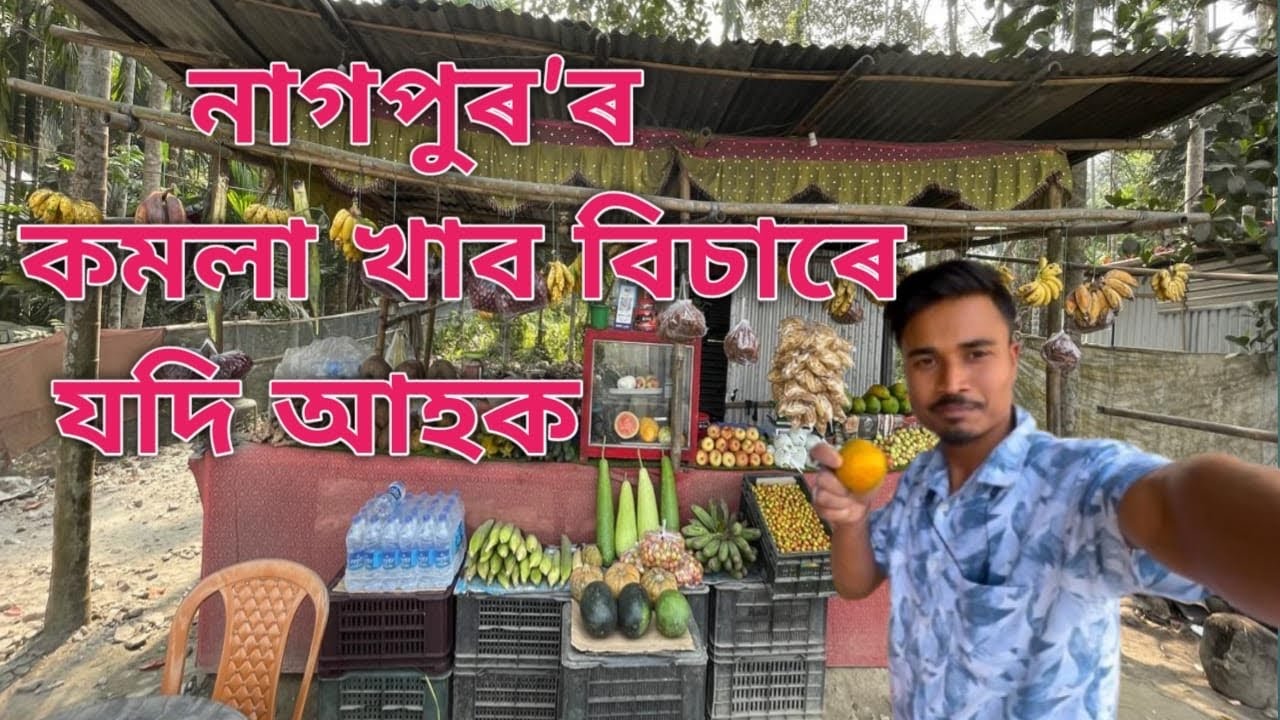 নাগপুৰ’ৰ কমলা খাব বিচাৰে যদি আহক মোৰ দোকানলৈ  NAGPUR ORANGE AVAILABLE HERE🍊🍊