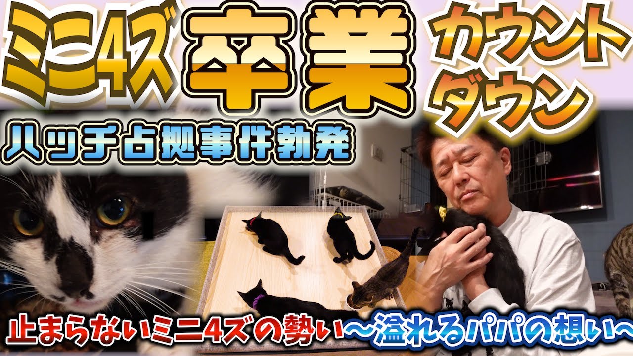 止まらぬミニ４ズのパワー炸裂！卒園カウントダウン開始！