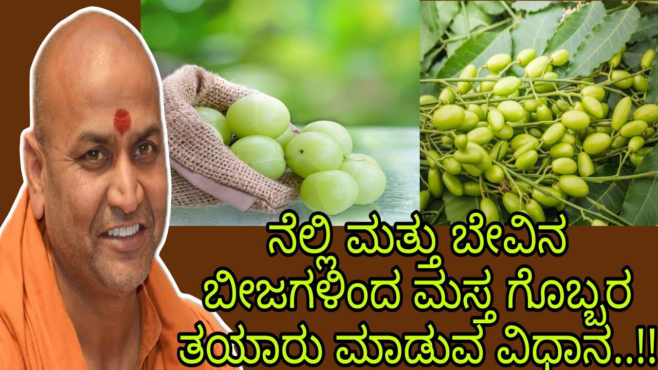 ನೆಲ್ಲಿ ಮತ್ತು ಬೇವಿನ ಬೀಜಗಳಿಂದ ಮಸ್ತ ಗೊಬ್ಬರ ತಯಾರು ಮಾಡುವ ವಿಧಾನ..!! || ಶ್ರೀ ಕಾಡ ಸಿದ್ದೇಶ್ವರ ಸ್ವಾಮೀಜಿ