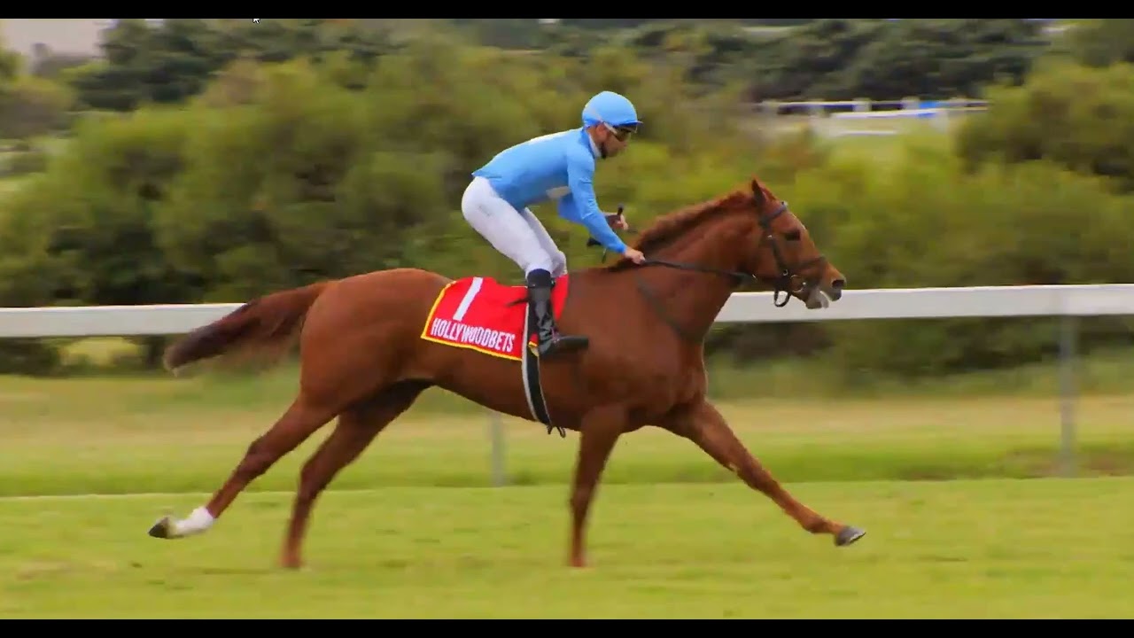 CHARLES DICKENS - race 8 #durbanville 24 September 2022