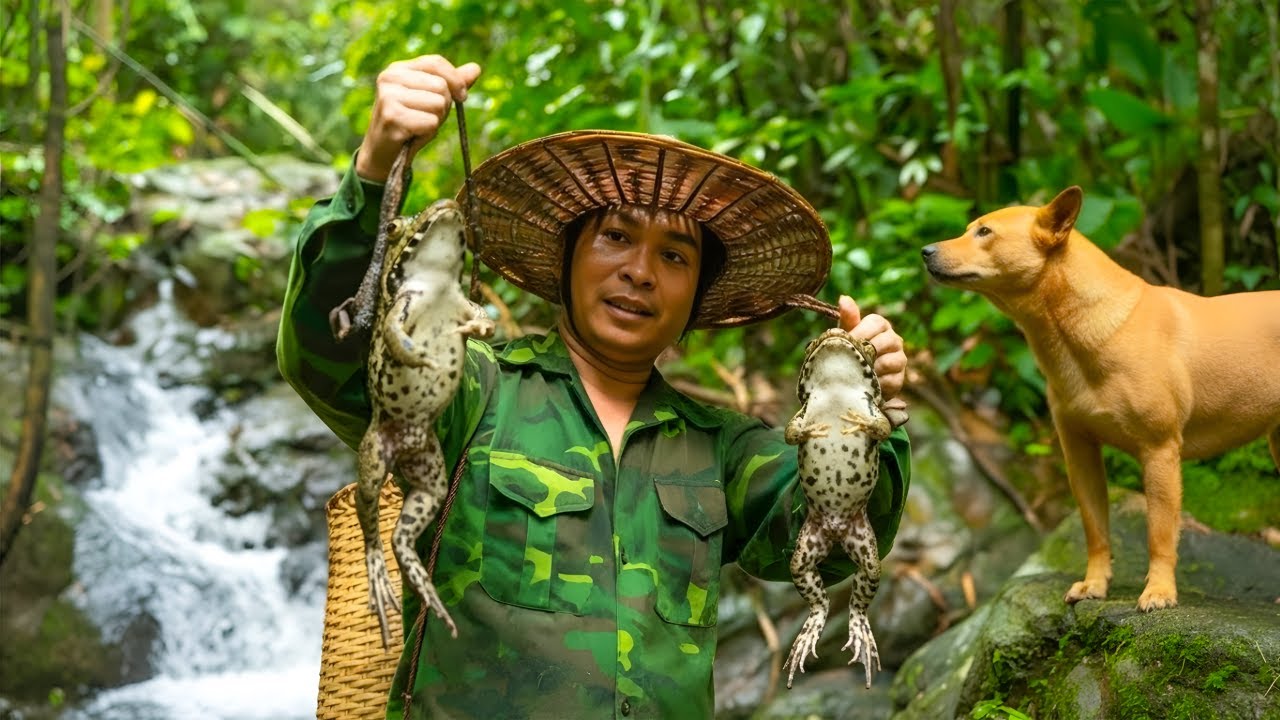 Catching frogs in the dangerous jungle - Harvesting duck eggs, cooking, survival on the river
