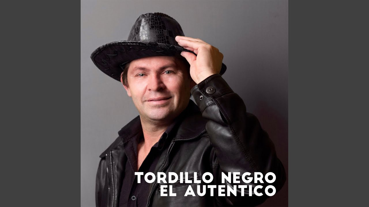 Tordillo Negro