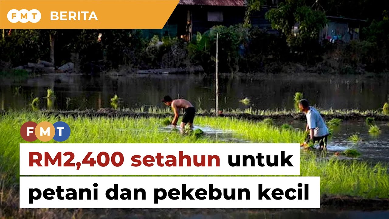 Budi Agri-Komoditi: Bantuan tunai RM2,400 setahun untuk petani dan pekebun kecil komoditi