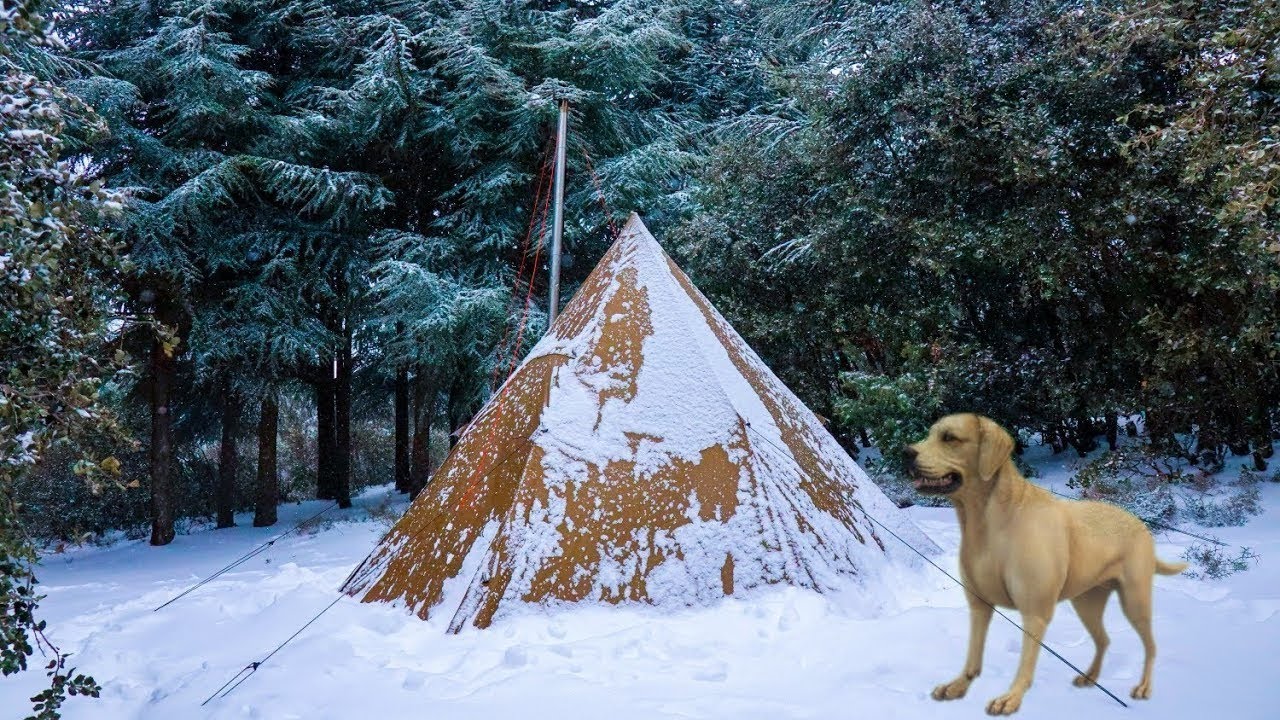 I Found a Stray Dog In a Snow Storm ! - Solo Camping In Heavy Rain & Snow