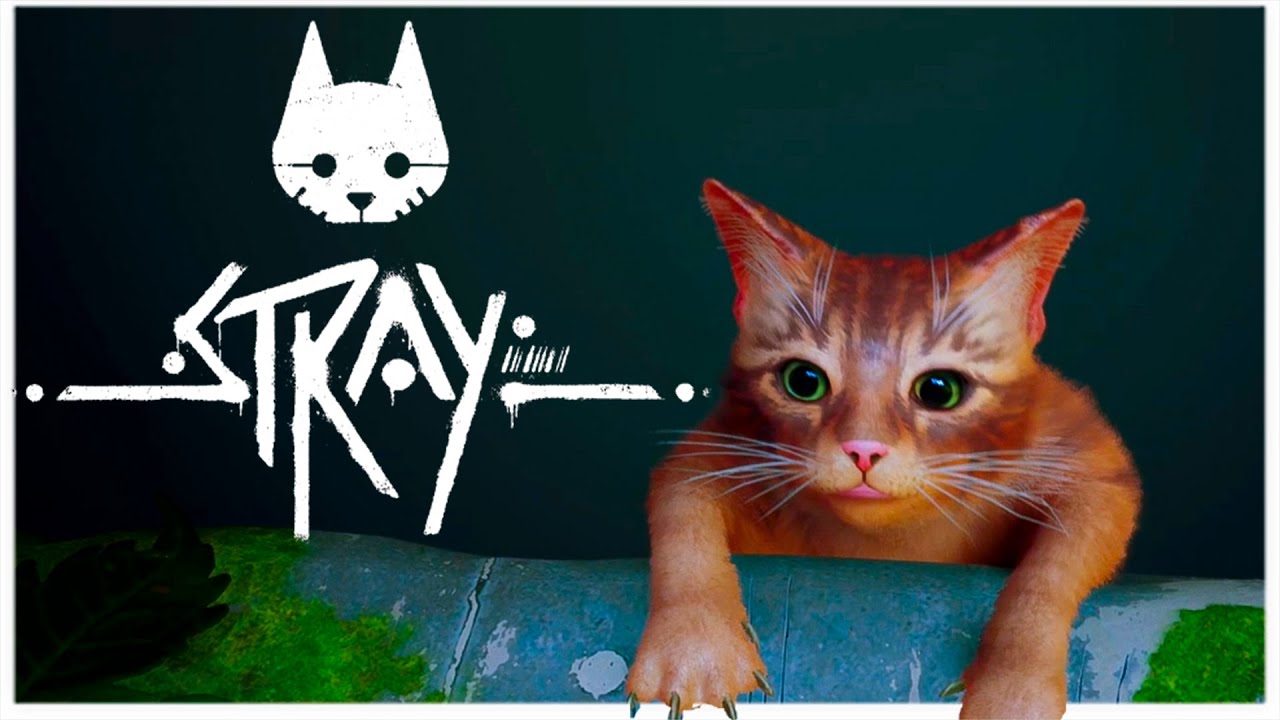 DENTRO DOS MUROS! #1 | INÍCIO DE GAMEPLAY JOGO DO GATO STRAY! PT - BR