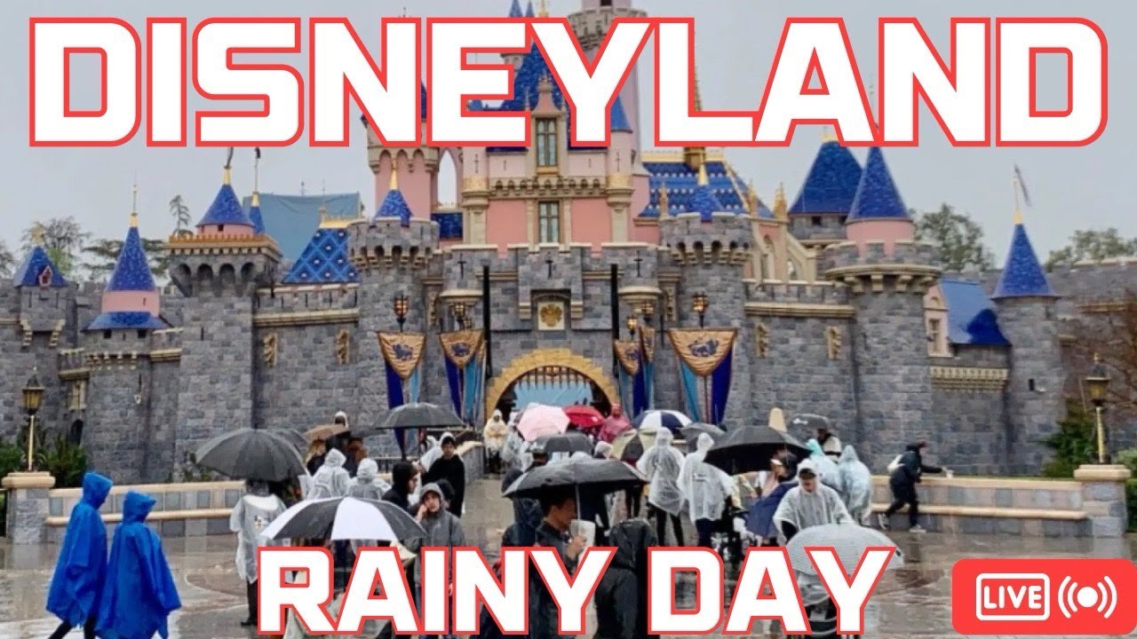 Rainy Days are the BEST Days at Disneyland!