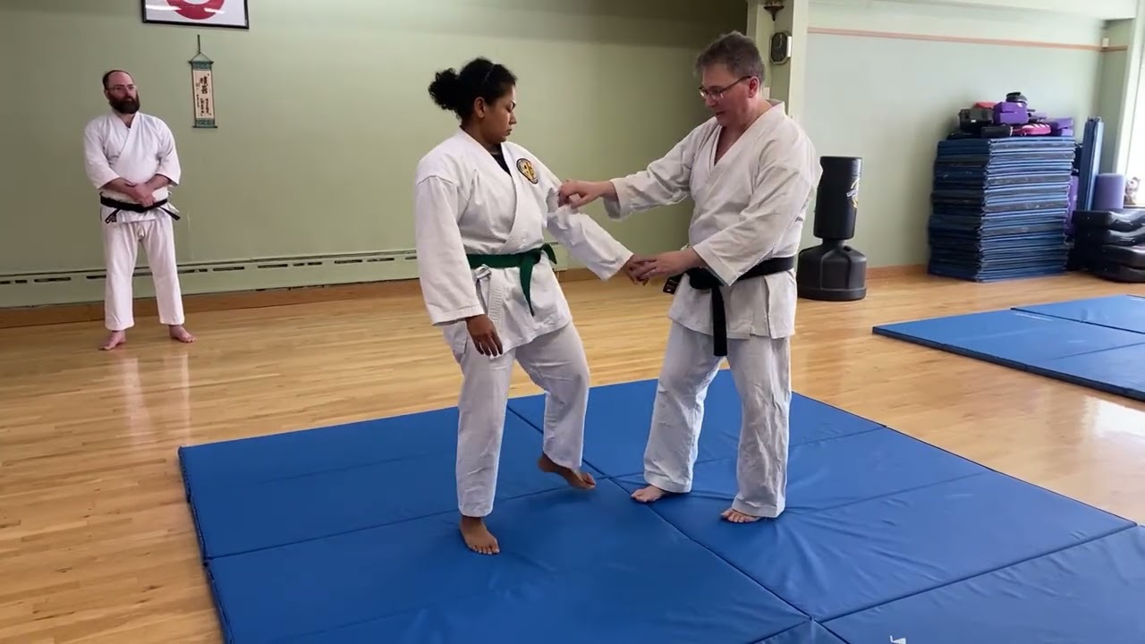 Meibukan Goju Ryu Karate Seienchin Gedan Punch