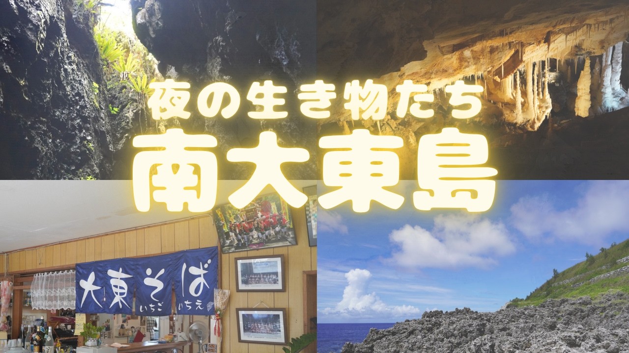 南大東島行ってきたのだ🏝【【旅】（前半）